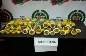 marihuana-en-maracuyas.jpg