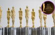 Premios India Catalina