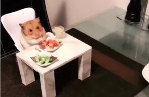 15122_Foto: @animclips en Instagram