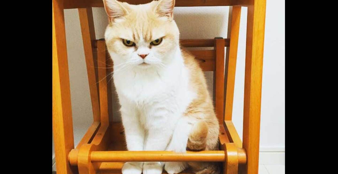 Koyuki