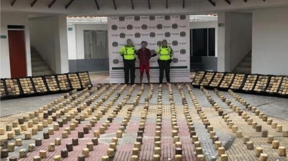 330078_BLU Radio, cargamento de marihuana camuflado en piñas / foto: Policía de Santander