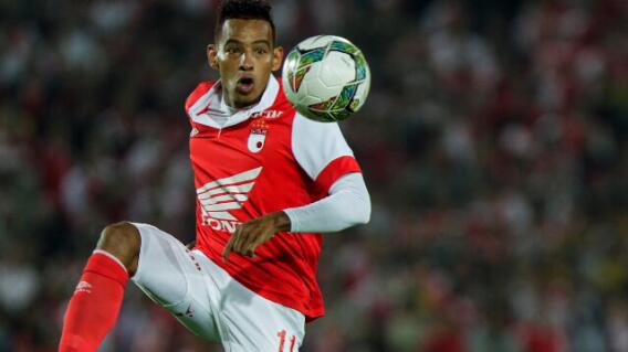 335722_Wilder Medina 335722_Wilder Medina