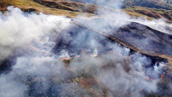 incendio-forestal_0.jpg