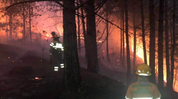 bomberos-de-bello.jpg