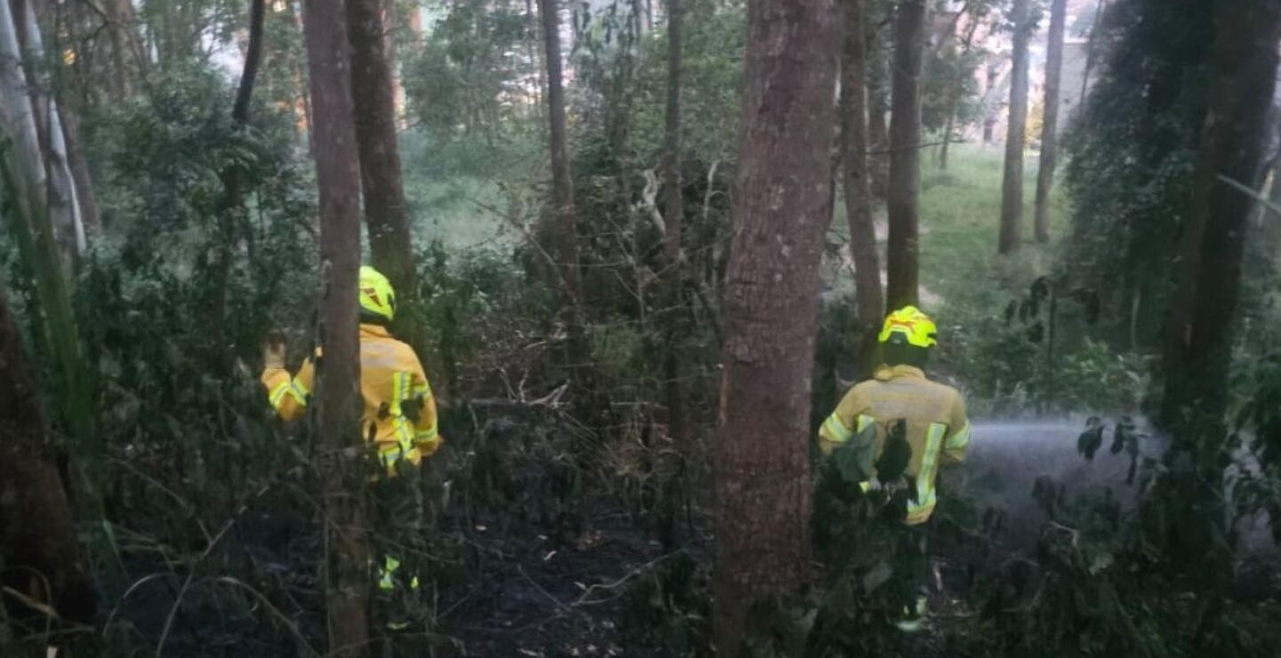 Incendio forestal en el sector de Seminario, Medellín