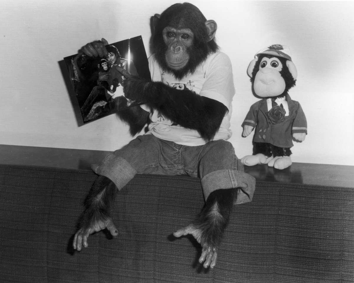 645888_michael_jackson_-_mono_-_mascota.jpg