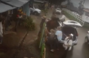 Video: perrito asustó a caballo con sus ladridos 