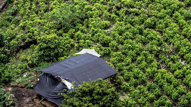 Aumento de cultivos ilícitos será el tema central de la reunión Santos-Trump 
