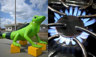 Ecopetrol y gas natural.jpg Ecopetrol y gas natural.jpg