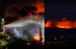 Incendios forestales arrasan más de 27.000 hectáreas en Tolima y causan emergencia en Nariño