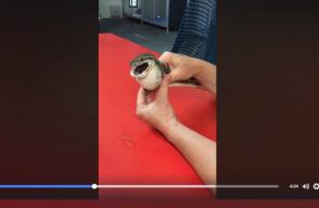 1895_Foto: Captura video Facebook