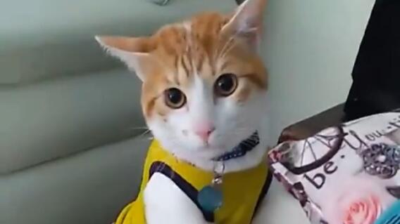 310059_Foto: Tomada de video publicado por Mundo Viral Colombia en Facebook