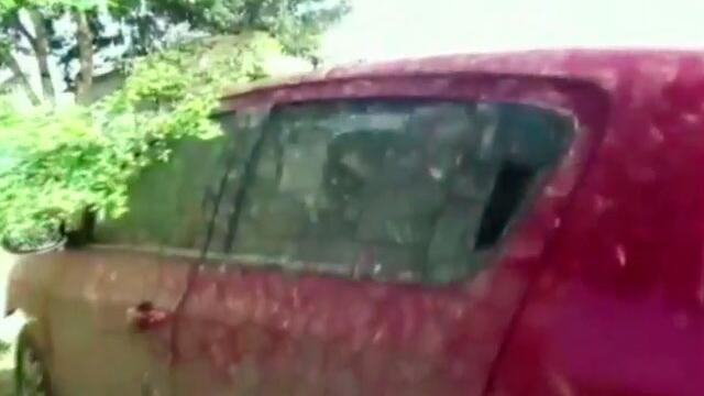 Masacre en los Llanos por 5 kilos de coca: acribillaron a un inocente padre de familia