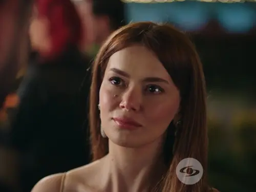 Capítulo 104 Final de La luz de mi vida: Sude le revela la verdad a Firat, ¿qué pasó con Elif? 