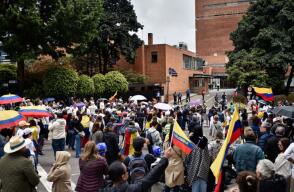 Plantones por Miguel Uribe Turbay Plantones por Miguel Uribe Turbay