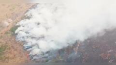 Clima y océanos del mundo se verán afectados por gravísimo incendio en la Amazonía