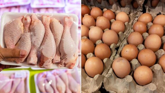 Pollo y huevos Pollo y huevos