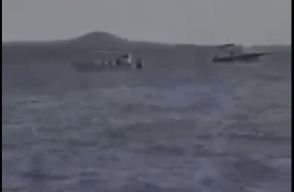 Barco golpeado por una ballena