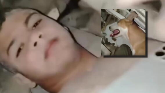Joven sobrevivió bajo los escombros en Venezuela gracias a su perro