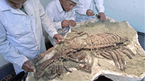 307938_Arqueología-AFP