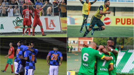 323007_collagebcla.jpg