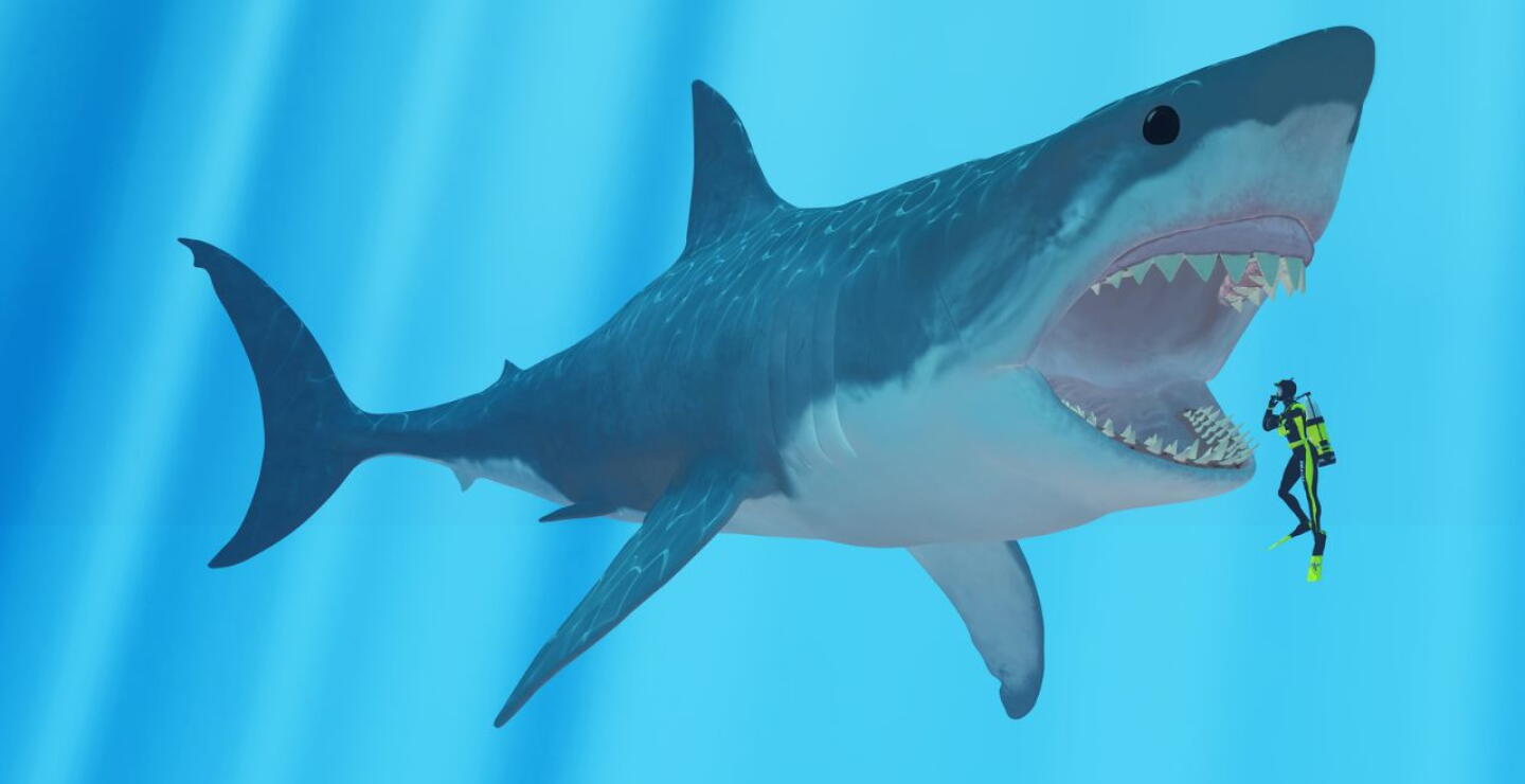 ¿Realmente existió el Megalodón? Este sería el animal que acabó con su vida