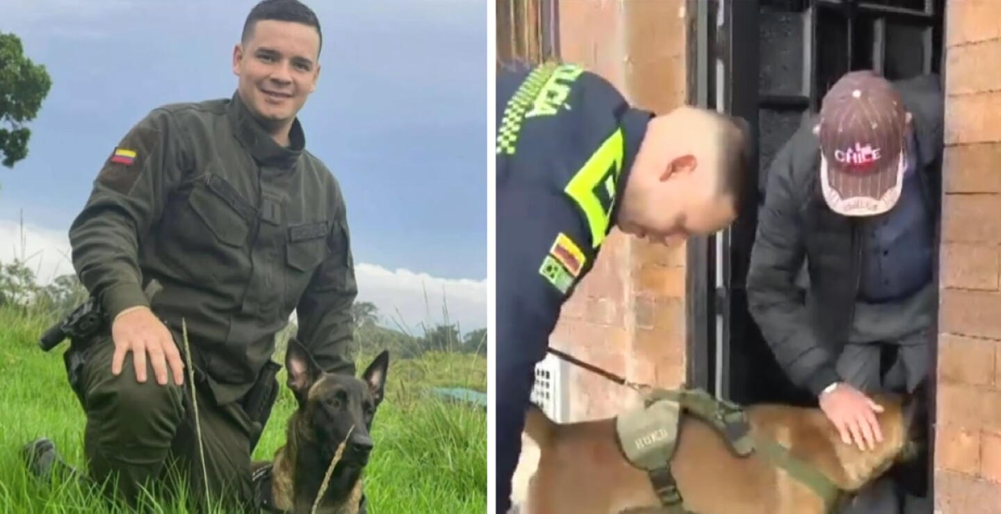 Reencuentro perro policía 