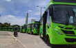 Buses.jpeg