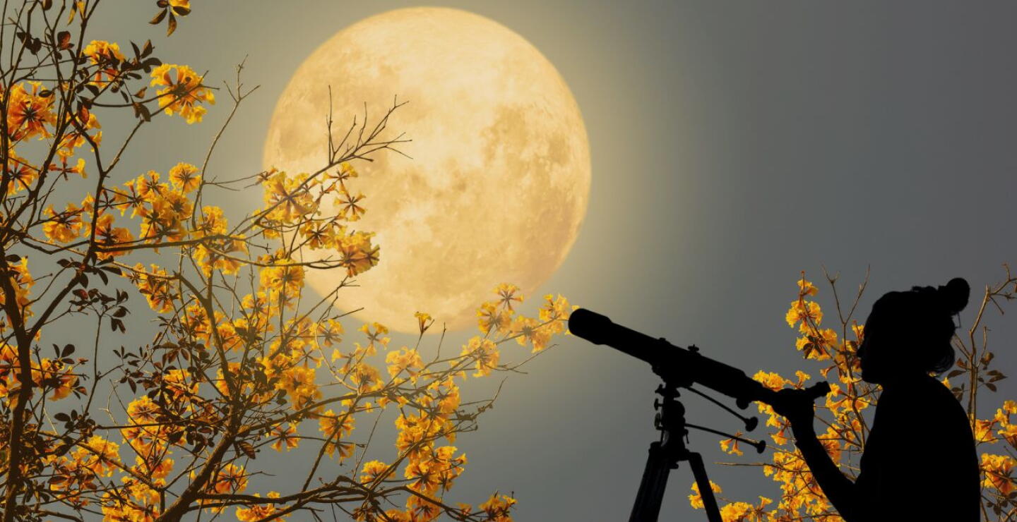 Quedan pocos días para ver la Luna de flores en Colombia: fecha y hora exacta del evento 