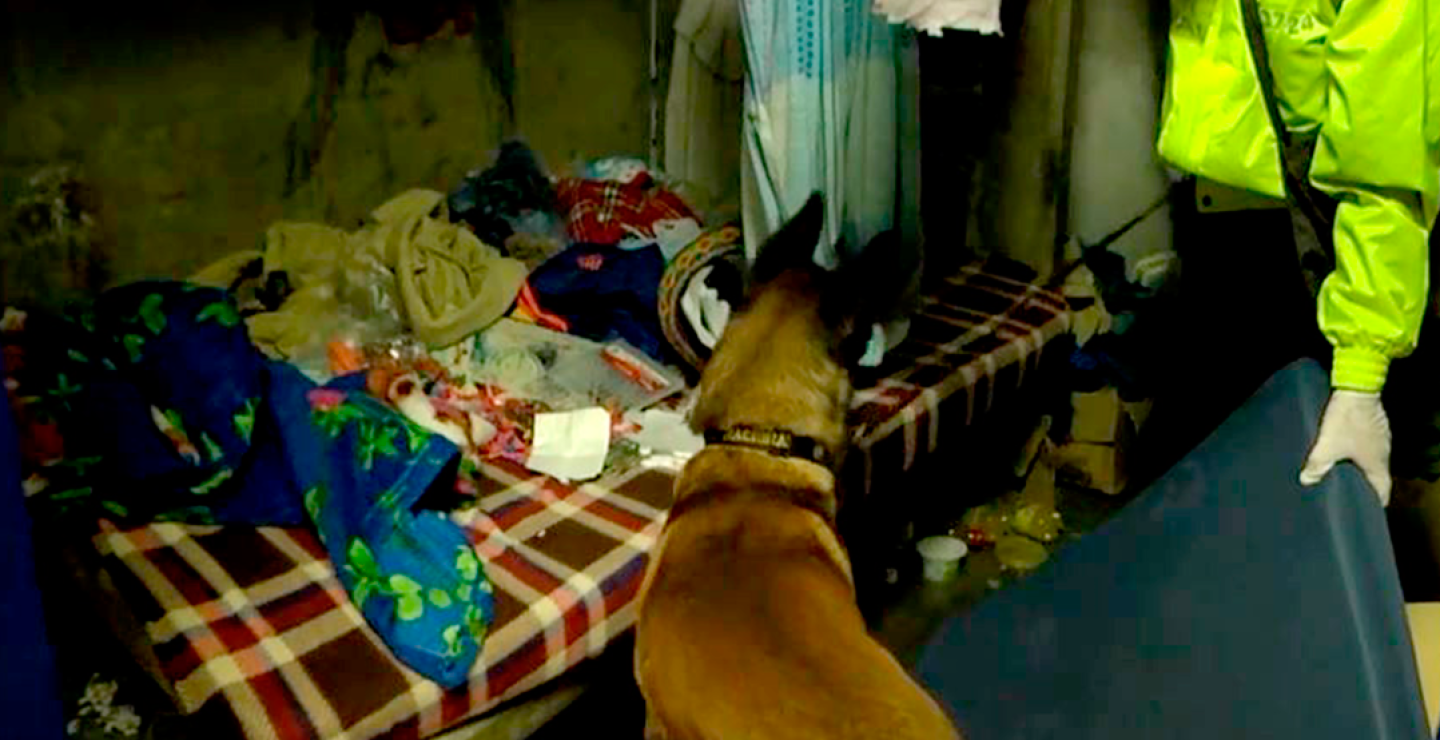 247321_Foto: Cortesía Policía Metropolitana