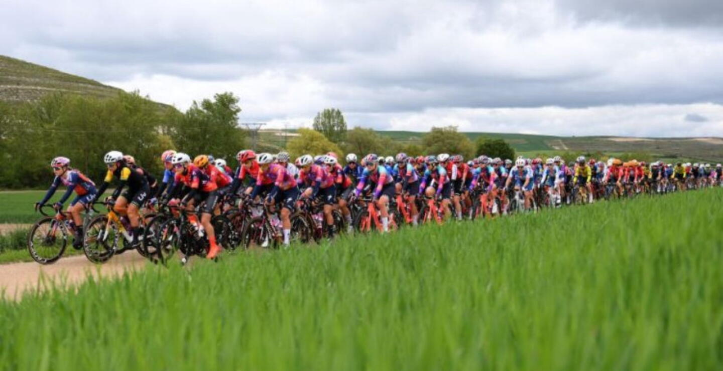 Pelotón en la etapa 12 del Giro de Italia. 