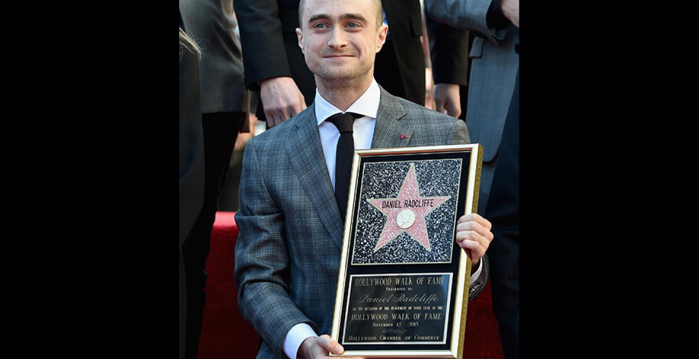harry9.jpg