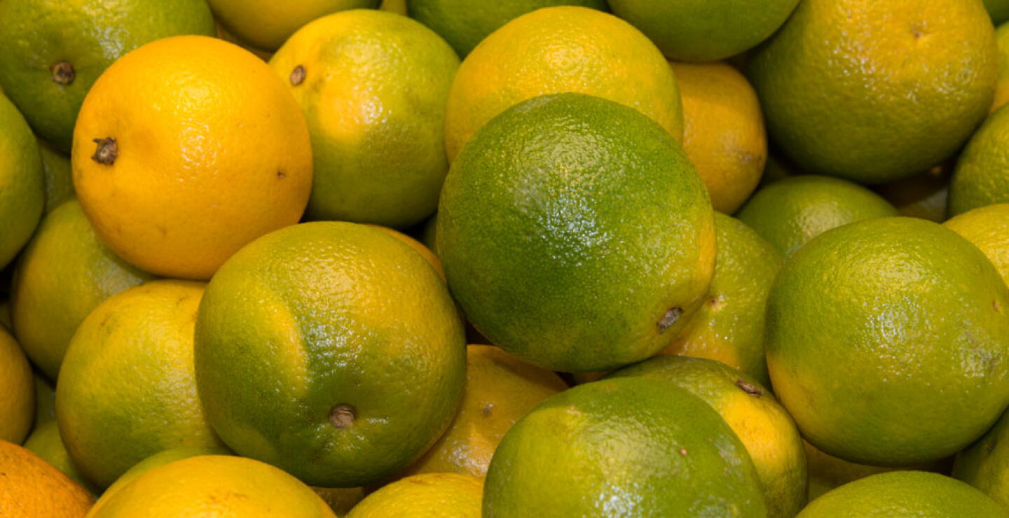 337053_BLU Radio // Naranjas // Foto: AFP