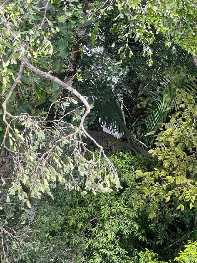 Accidente de avioneta en Caqueta: cambuche y maleta hacen creer que cuatro niños sobrevivieron