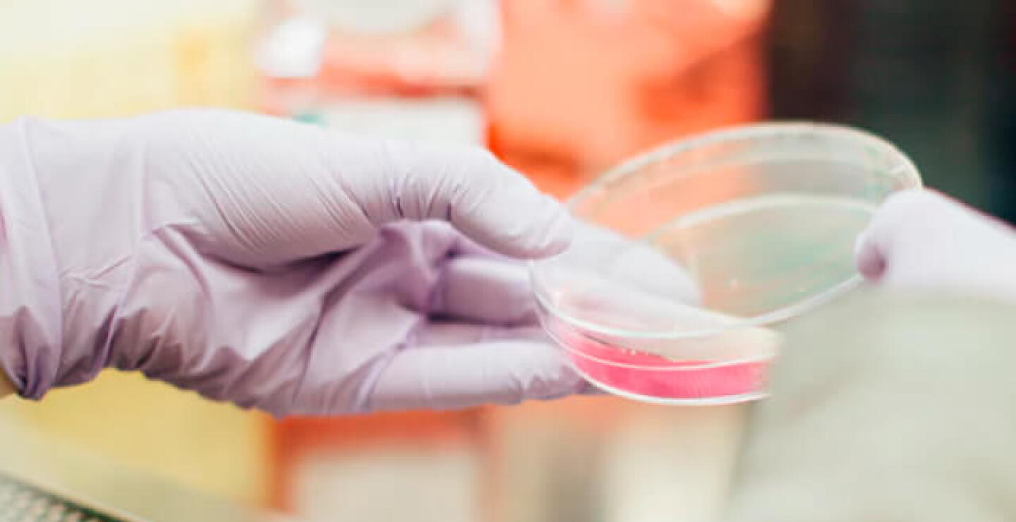 lab.jpg