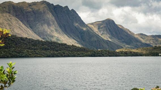 El paraíso natural donde nace el agua de Bogotá; ofrece senderos ecoturísticos únicos