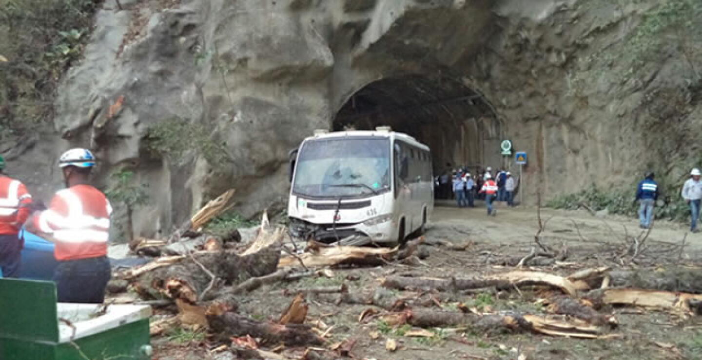 120315_arbol_hidroituango.jpg