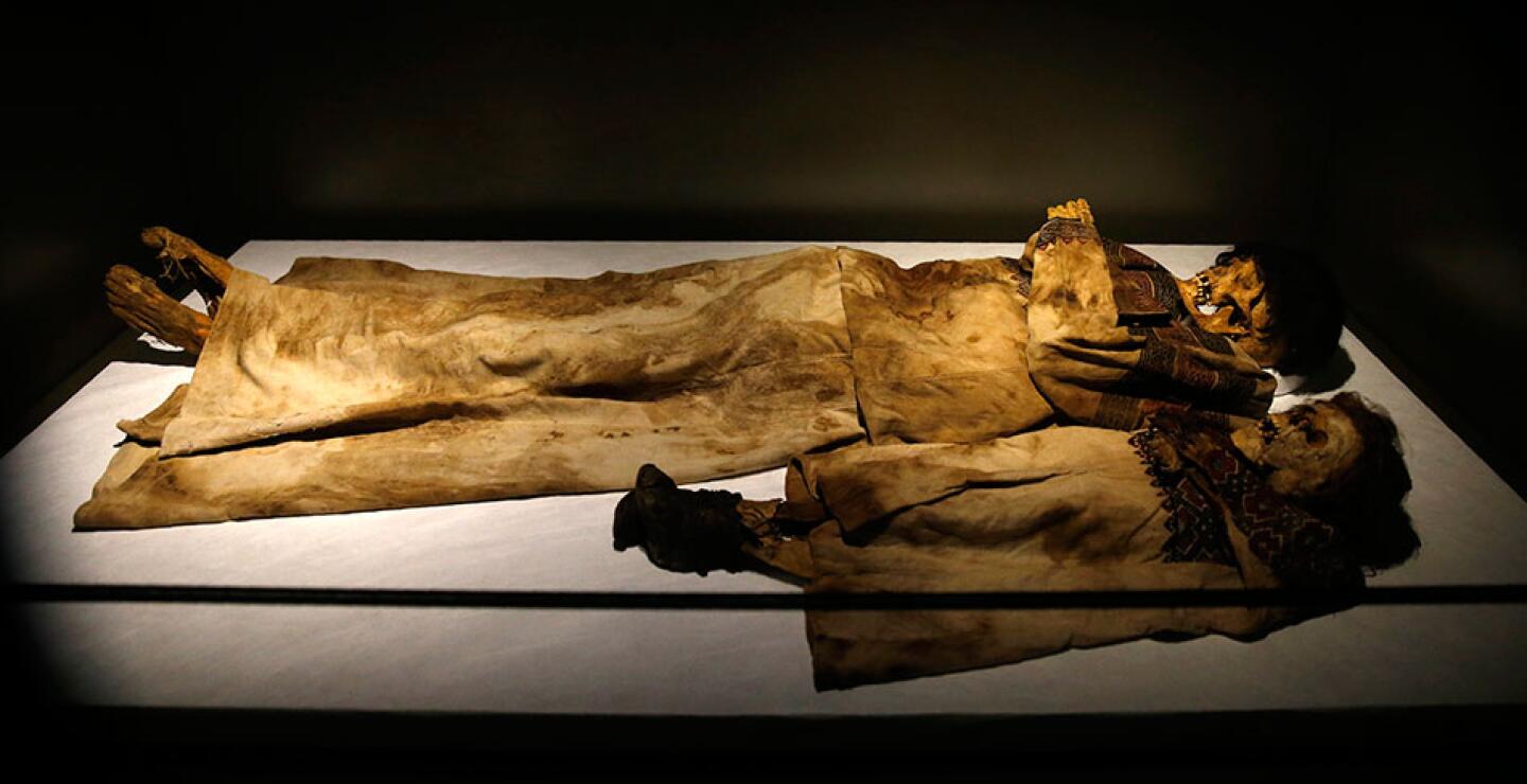 La exhibición comienza con un premolar de hace 70.000 años antes de la era cristiana (perteneció a un homo sapiens) y termina con una estela otomana de 1830 adornada con un turbante.