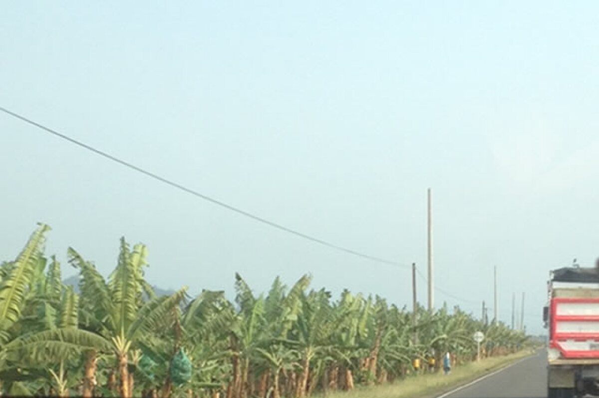 250315_seguridad_carreteras.jpg