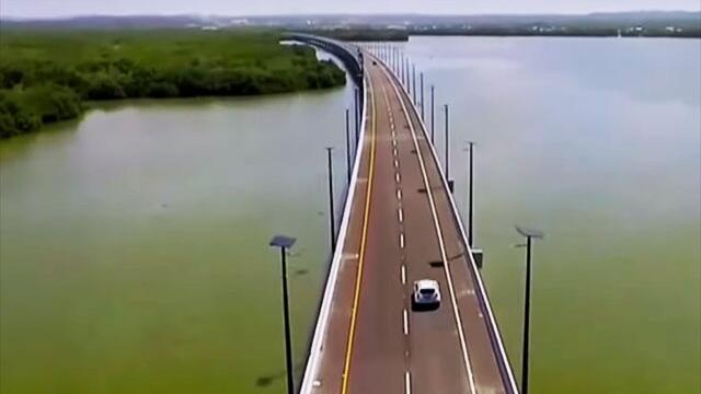 Vea el imponente viaducto El Gran Manglar, obra que se adapta a la naturaleza y es orgullo nacional