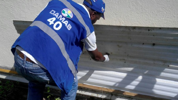 272592_Foto archivo twitter @Damaboficial