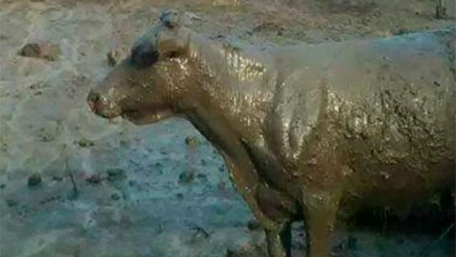 Reservorio de una finca causó avalancha en Boyacá sin dejar víctimas fatales