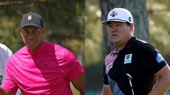 woods-im.jpg woods-im.jpg