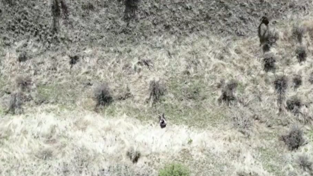 Tras angustiosa búsqueda, dron ayudó a encontrar a niña desaparecida Tras angustiosa búsqueda, dron ayudó a encontrar a niña desaparecida