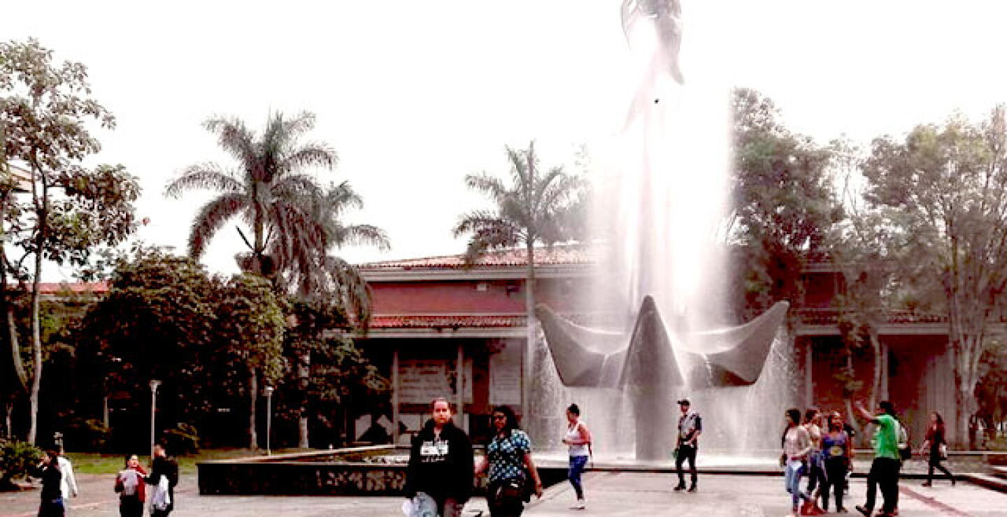 Foto: Universidad de Antioquia.