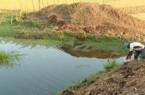 Sequía en ríos de Colombia genera alerta pese a las lluvias de los últimos días Sequía en ríos de Colombia genera alerta pese a las lluvias de los últimos días