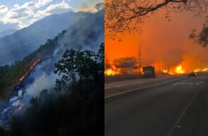 Incendios forestales en Tolima encienden las alarmas en Gualanday y provocan el cierre de vías