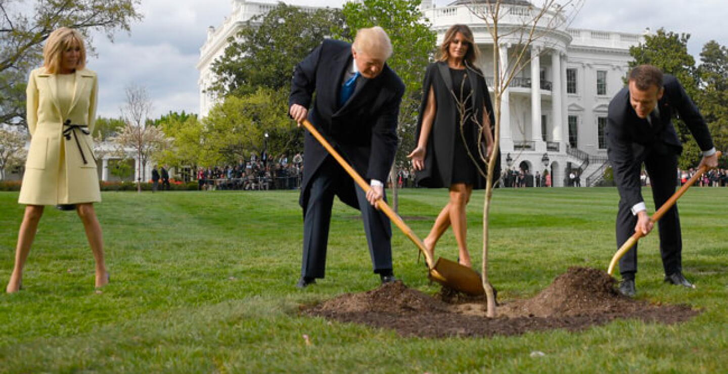 arbol_1.jpg
