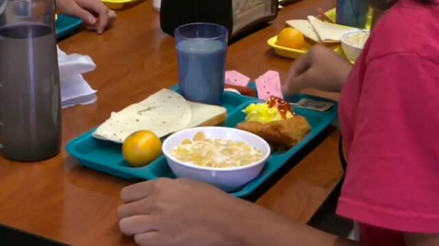 ¿Lucrándose con la tragedia? Privados estarían beneficiándose con detenciones en frontera de EE. UU.