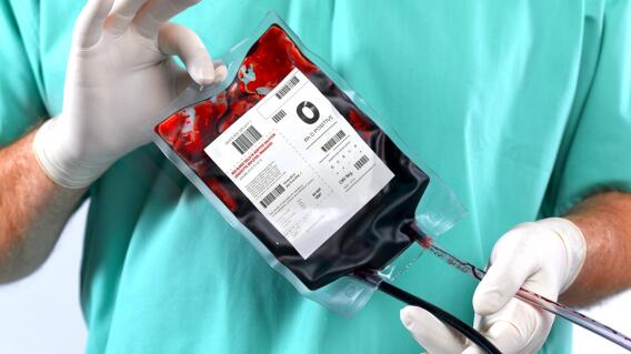 Sangre Sangre